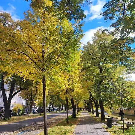 شقة Grbavica Cozy - Free Parking